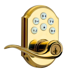 Square format logo of Lifetime Polished Brass